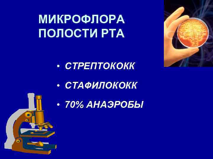 МИКРОФЛОРА ПОЛОСТИ РТА • СТРЕПТОКОКК • СТАФИЛОКОКК • 70% АНАЭРОБЫ 