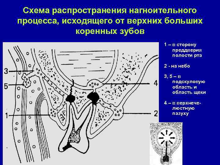 Схема распространения товаров