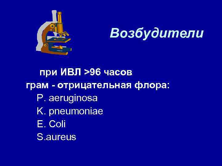 Возбудители при ИВЛ >96 часов грам - отрицательная флора: P. aeruginosa K. pneumoniae E.