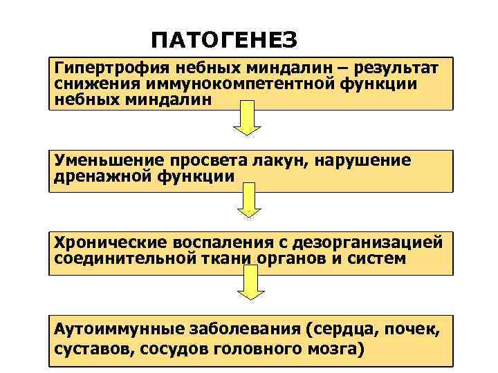 ПАТОГЕНЕЗ Гипертрофия небных миндалин – результат снижения иммунокомпетентной функции небных миндалин Уменьшение просвета лакун,
