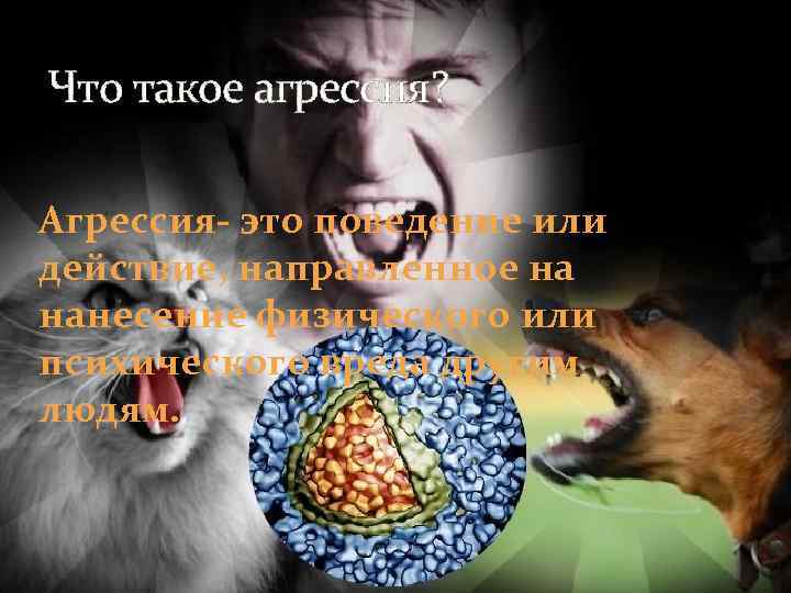 Что такое агрессия? Агрессия- это поведение или действие, направленное на нанесение физического или психического