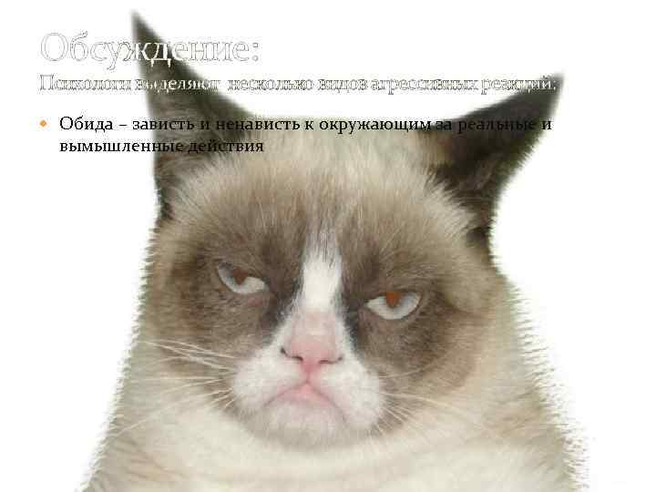 Обсуждение: Психологи выделяют несколько видов агрессивных реакций: Обида – зависть и ненависть к окружающим