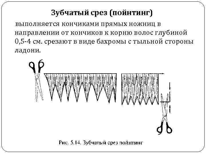 Основные Операции Стрижки Виды Срезов