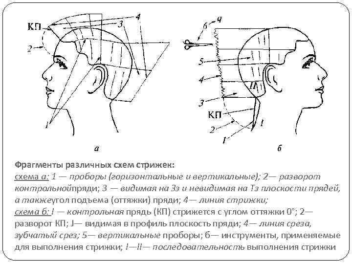 Технология Выполнения Стрижки Маллет