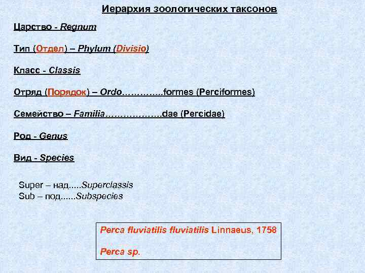 Иерархия зоологических таксонов Царство - Regnum Тип (Отдел) – Phylum (Divisio) Класс - Classis