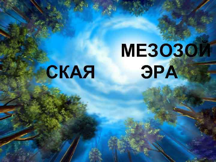  СКАЯ МЕЗОЗОЙ ЭРА 