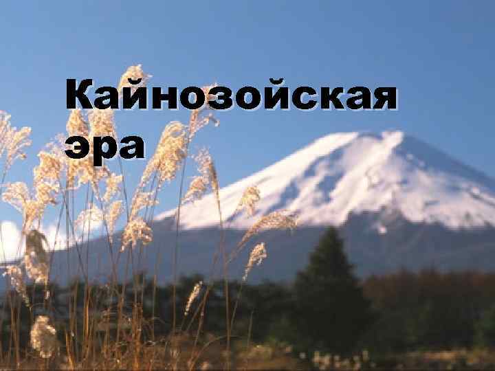 Кайнозойская эра 