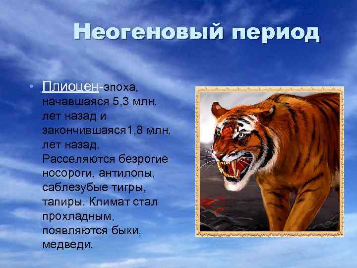 Неогеновый период • Плиоцен-эпоха, начавшаяся 5, 3 млн. лет назад и закончившаяся 1, 8