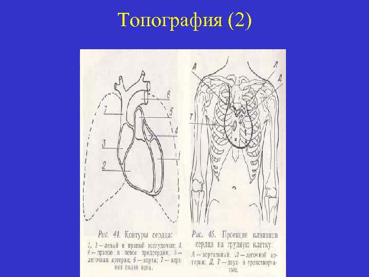 Топография (2) 