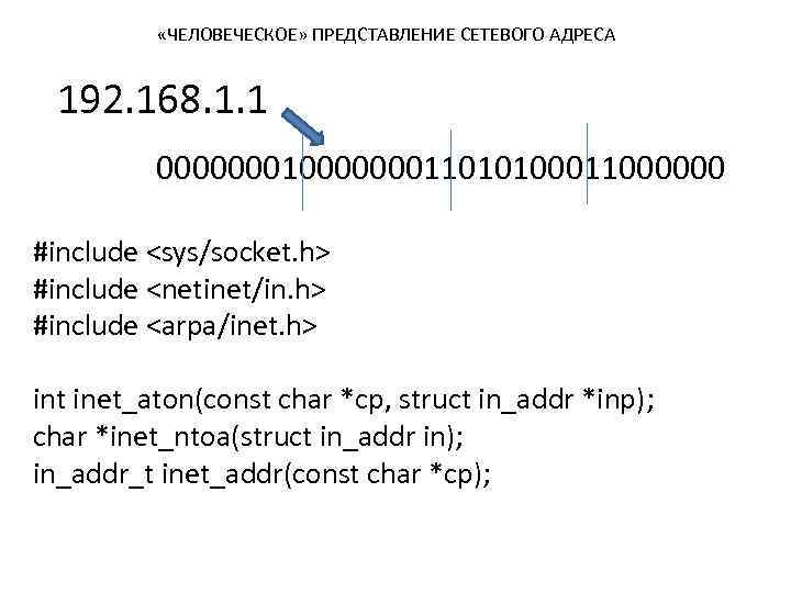  «ЧЕЛОВЕЧЕСКОЕ» ПРЕДСТАВЛЕНИЕ СЕТЕВОГО АДРЕСА 192. 168. 1. 1 000000011010100011000000 #include <sys/socket. h> #include