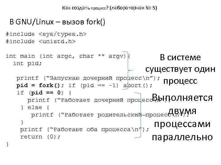 Как создать процесс? (лабораторная № 5) В GNU/Linux – вызов fork() #include <sys/types. h>