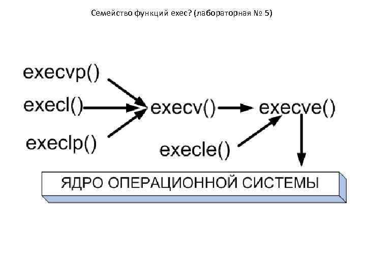 Семейство функций exec? (лабораторная № 5) 