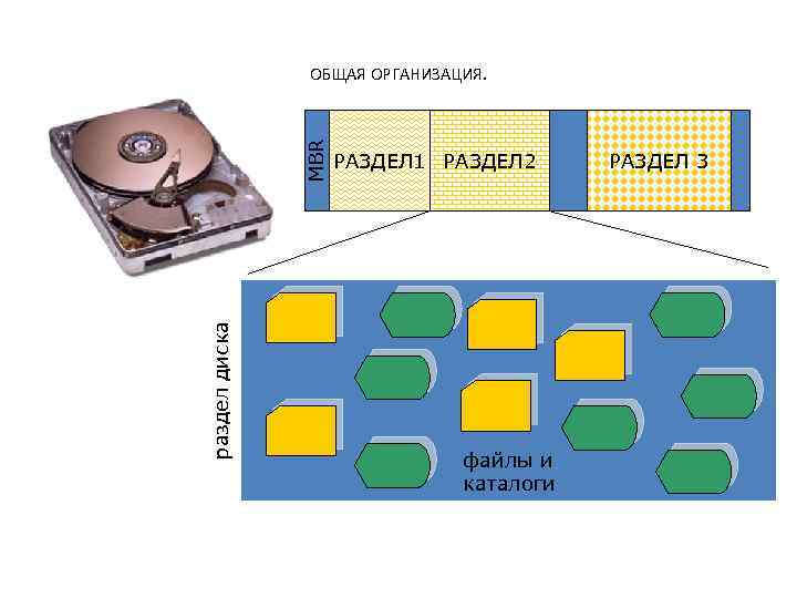раздел диска MBR ОБЩАЯ ОРГАНИЗАЦИЯ. РАЗДЕЛ 1 РАЗДЕЛ 2 файлы и каталоги РАЗДЕЛ 3