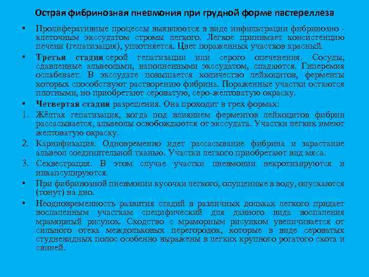 Острая фибринозная пневмония при грудной форме пастереллеза • Пролиферативные процессы выявляются в виде инфильтрации