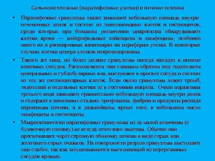 Сальмонеллезные (паратифозные узелки) в печени теленка • • • Паратифозные гранулемы также занимают небольшую