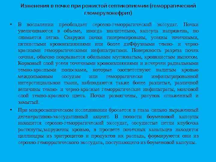 Изменения в почке при рожистой септикопиемии (геморрагический гломерулонефрит) • • В воспалении преобладает серозно