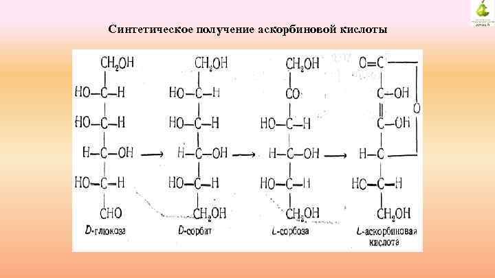 Синтетическое получение аскорбиновой кислоты 