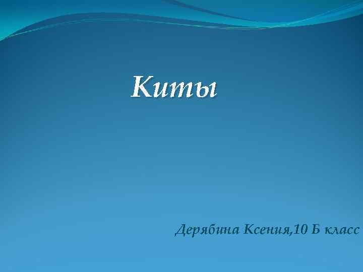Киты Дерябина Ксения, 10 Б класс 