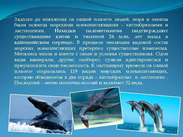 Задолго до появления на нашей планете людей, моря и океаны были освоены морскими млекопитающими
