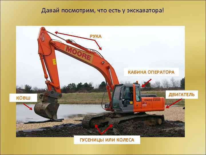 Давай посмотрим, что есть у экскаватора! РУКА КАБИНА ОПЕРАТОРА ДВИГАТЕЛЬ КОВШ ГУСЕНИЦЫ ИЛИ КОЛЕСА