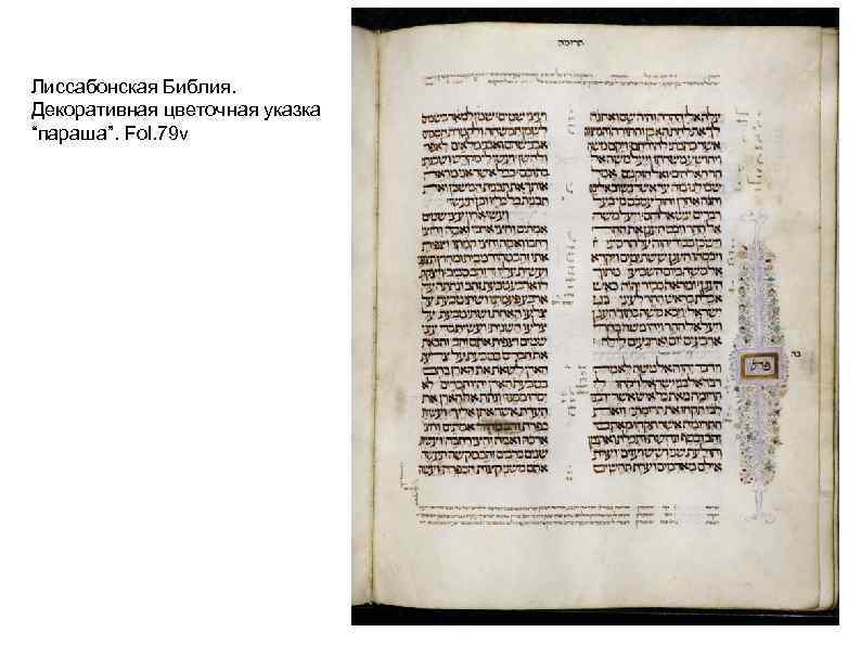 Лиссабонская Библия. Декоративная цветочная указка “параша”. Fol. 79 v 