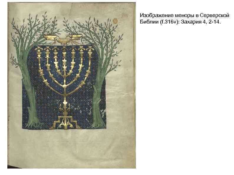 Изображение меноры в Серверской Библии (f. 316 v): Захария 4, 2 -14. 