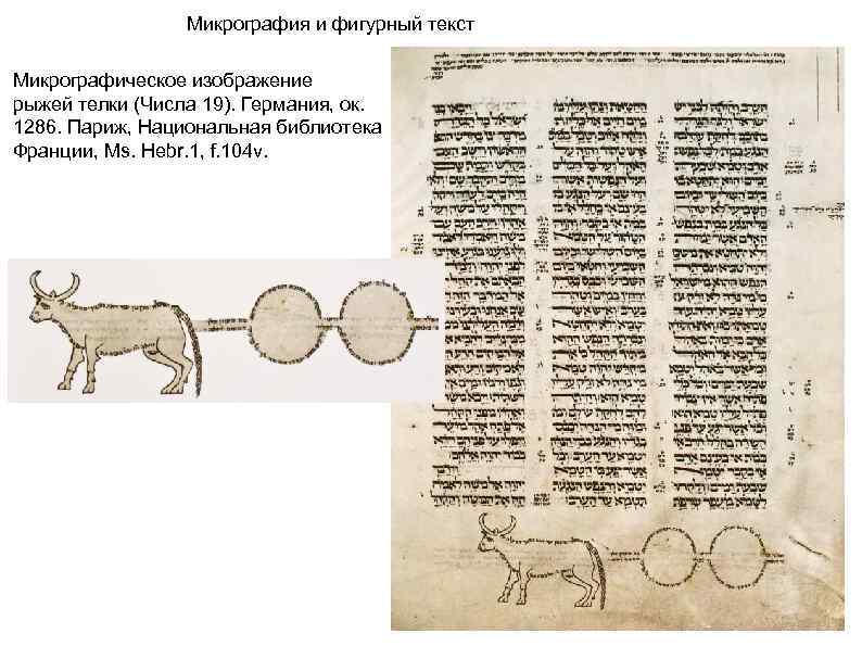 Микрография и фигурный текст Микрографическое изображение рыжей телки (Числа 19). Германия, ок. 1286. Париж,