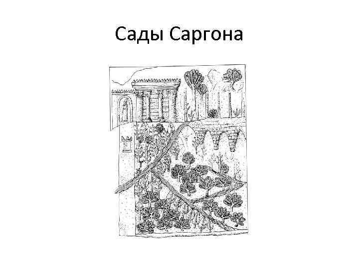 Сады Саргона 