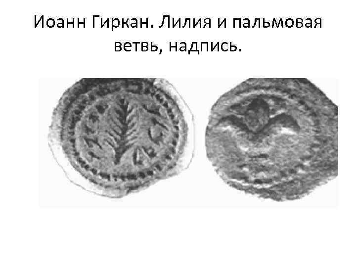 Иоанн Гиркан. Лилия и пальмовая ветвь, надпись. 