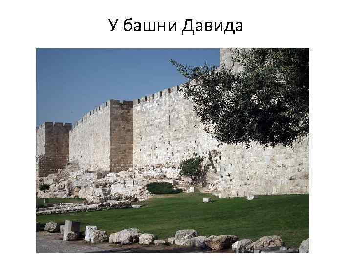 У башни Давида 