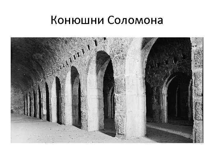 Конюшни Соломона 