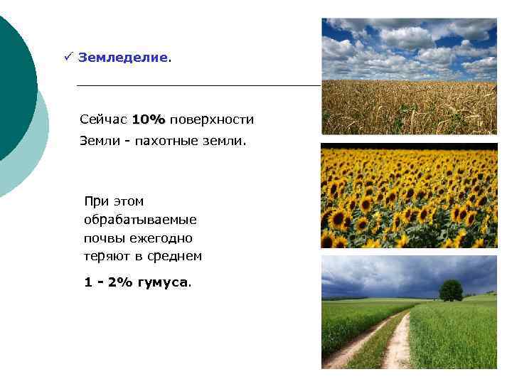 ü Земледелие. Сейчас 10% поверхности 10% Земли - пахотные земли. При этом обрабатываемые почвы