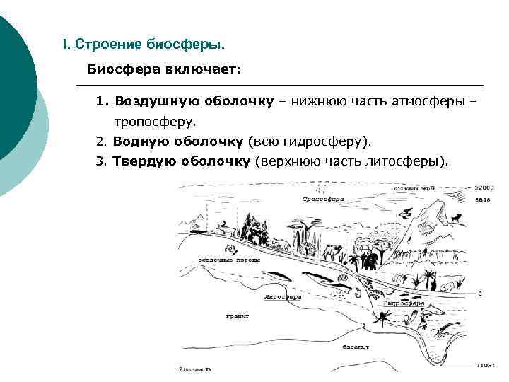 I. Строение биосферы. Биосфера включает: 1. Воздушную оболочку – нижнюю часть атмосферы – тропосферу.