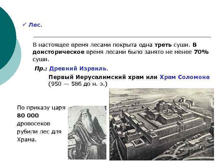 ü Лес. В настоящее время лесами покрыта одна треть суши. В доисторическое время лесами