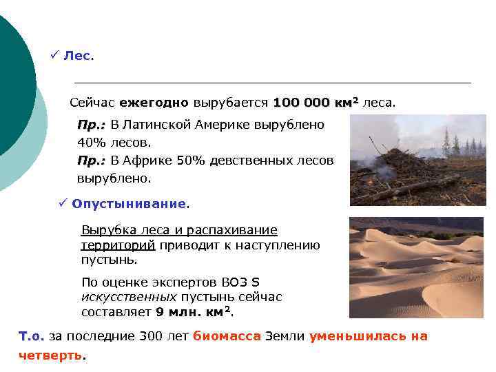 ü Лес. Сейчас ежегодно вырубается 100 000 км 2 леса. Пр. : В Латинской