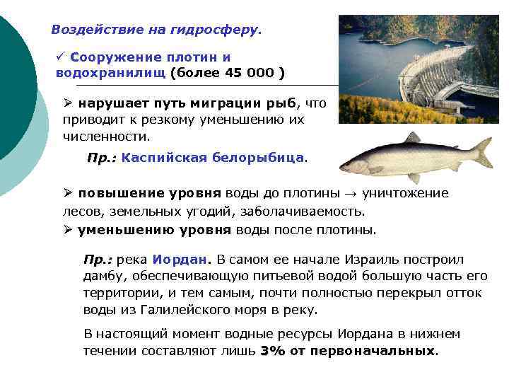 Воздействие на гидросферу. ü Сооружение плотин и водохранилищ (более 45 000 ) Ø нарушает