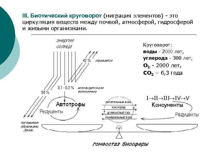 III. Биотический круговорот (миграция элементов) - это циркуляция веществ между почвой, атмосферой, гидросферой и