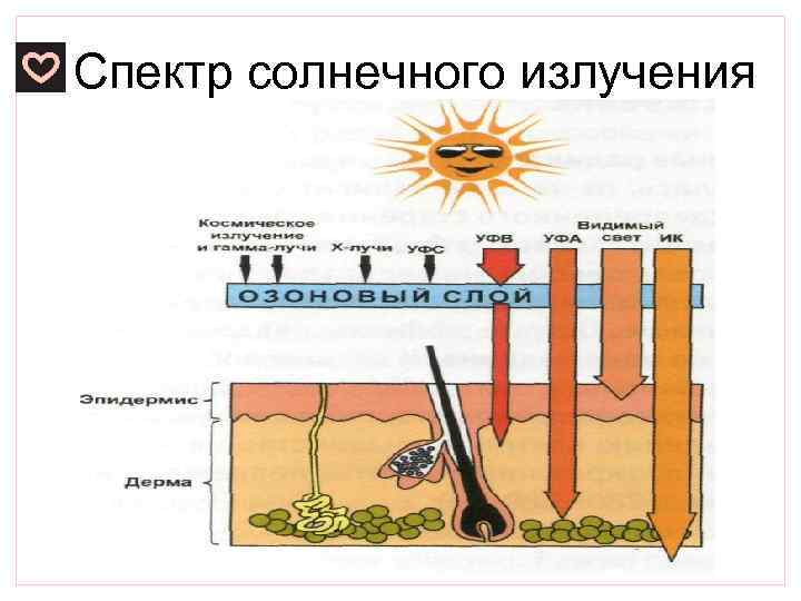 Спектр солнечного излучения 