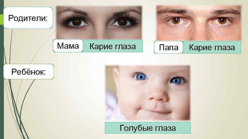 У двух голубоглазых родителей. Какого цвета будут глаза у ребенка. У голубоглазых родителей кареглазый ребенок. Цвет глаз родителей и детей. Ребенок по цвету глаз родителей.
