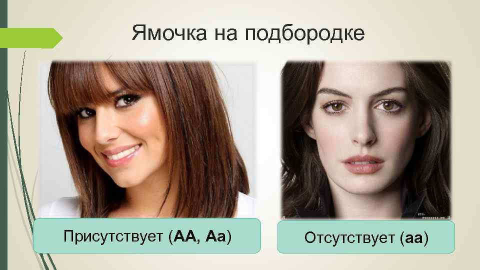 Ямочка на подбородке Присутствует (АА, Аа) Отсутствует (аа) 