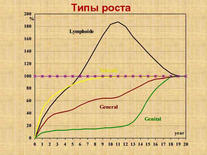 Tипы роста 