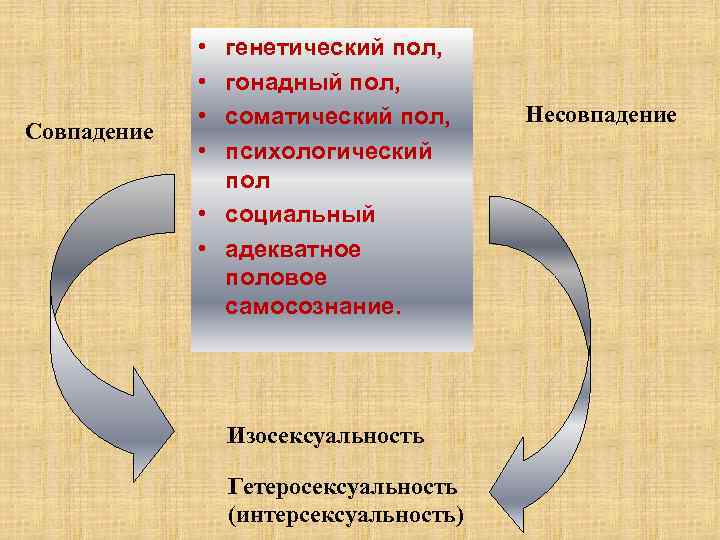 Совпадение • • генетический пол, гонадный пол, соматический пол, психологический пол • социальный •