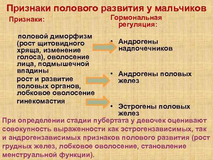 Признаки полового развития у мальчиков Признаки: половой диморфизм (рост щитовидного хряща, изменение голоса), оволосение