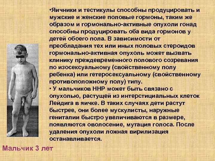  • Яичники и тестикулы способны продуцировать и мужские и женские половые гормоны, таким