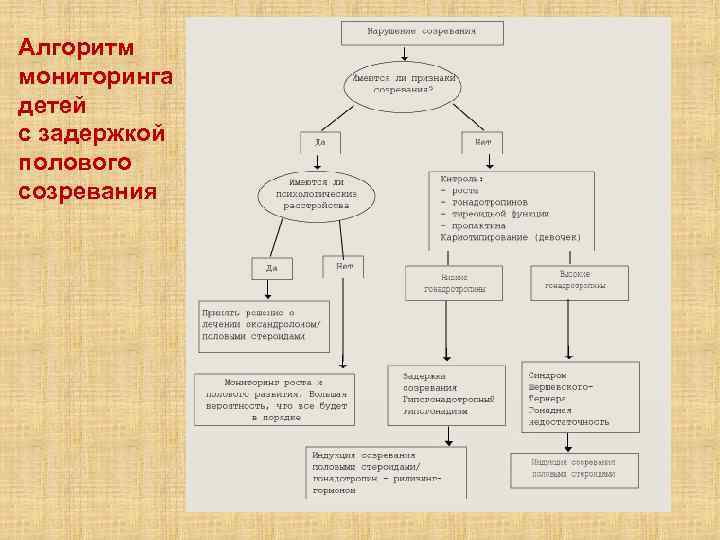 Половое развитие презентация