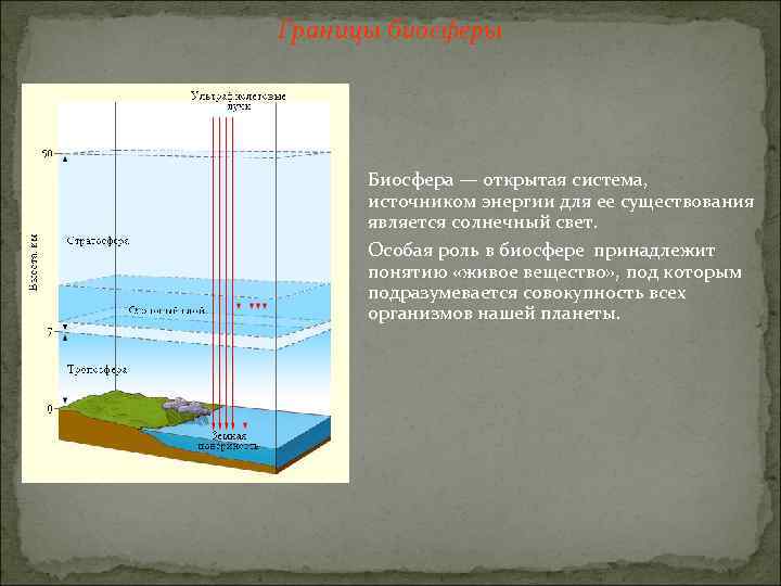 Границы биосферы Биосфера — открытая система, источником энергии для ее существования является солнечный свет.