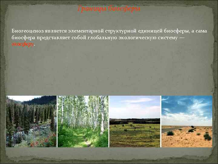 Границы биосферы Биогеоценоз является элементарной структурной единицей биосферы, а сама биосфера представляет собой глобальную