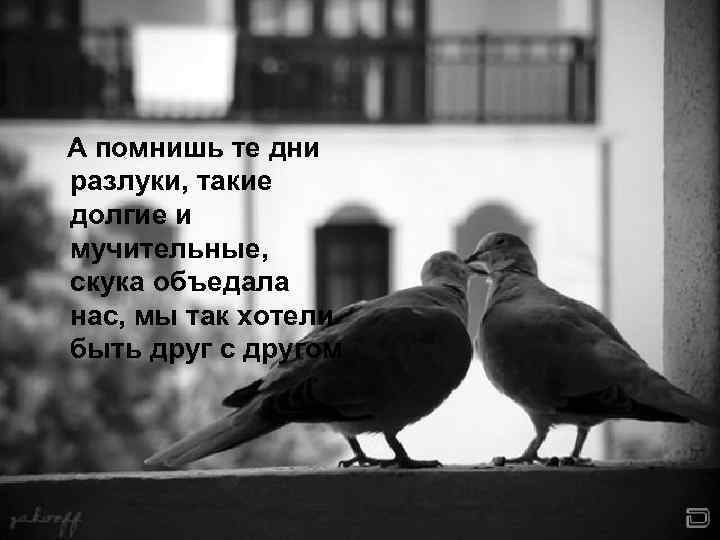 А помнишь те дни разлуки, такие долгие и мучительные, скука объедала нас, мы так
