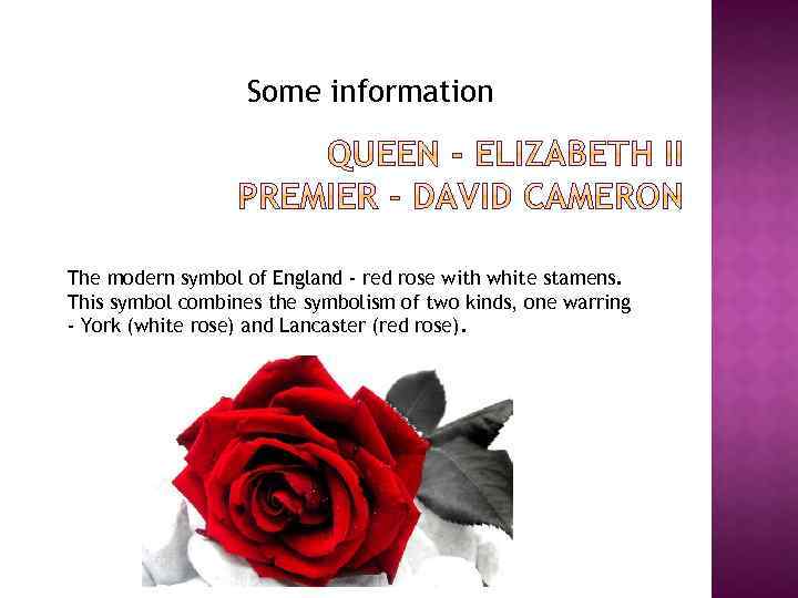 Some information The modern symbol of England - red rose with white stamens. This