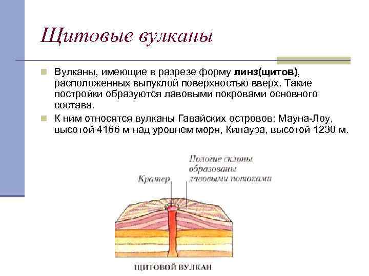 Щитовые вулканы n Вулканы, имеющие в разрезе форму линз(щитов), расположенных выпуклой поверхностью вверх. Такие